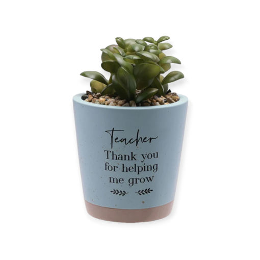 Picture of TEACHER THANK YOU SUCCULENTS